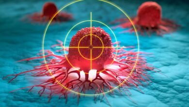 يجد العلماء طريقة لتحويل الخلايا الواقية للورم إلى قتلة للسرطان