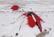 يستعد علماء الحفريات للاكتشافات المثيرة في جرينلاند