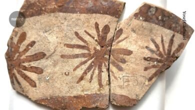 يكشف الفخار القديم عن أدلة مبكرة على التفكير الرياضي