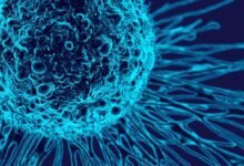 Cancer Cell Biology Illustration