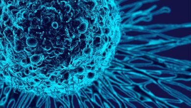 يمكن لـ مصباح السرطان الجديد أن يكشف من يستفيد حقًا من العلاجات المستهدفة