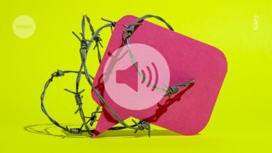 ‘Coming out as a transgender scientist made me best teacher I’ve ever been’