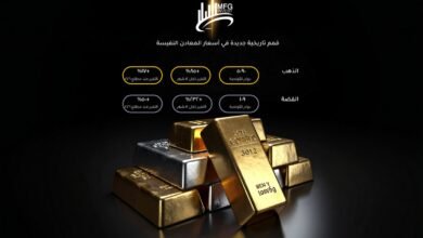 عندما تتقن لغة المال… MFG Invest تغيّر نتائج التداول باحترافية ذكية