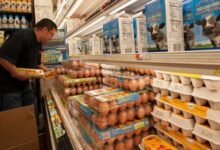 17742114862150ee4a37