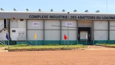 17744738921f11c16077