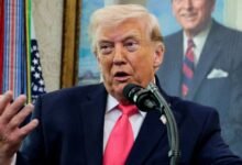 1774474767d31a546b54