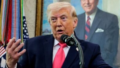 1774474767d31a546b54