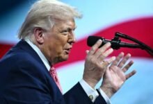 1774733986d35bd4caf7