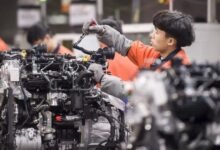 177507280164d25b7502