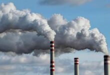 177507283477af6d5504