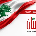باب المندب في قلب التصعيد.. معارك اليمن تهدد أحد أهم شرايين التجارة العالمية