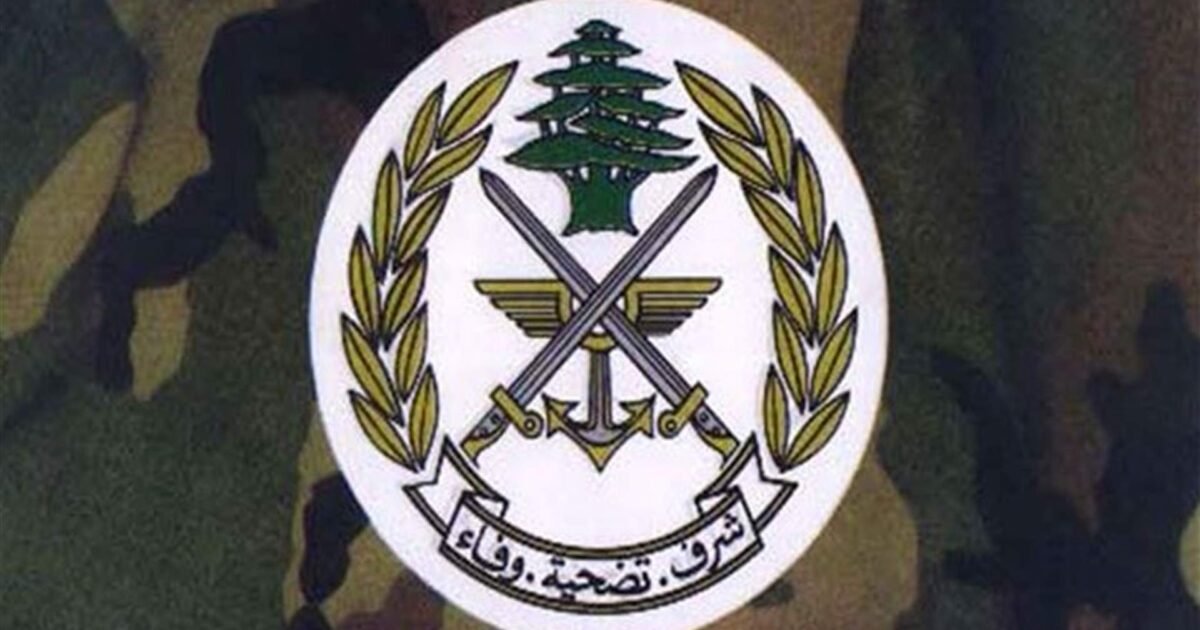 قيادة الجيش: تكثيف المهمات في النبطية ولا انتشار جديد