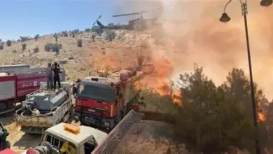 حريق كبير يندلع في منطقة صوّان بقعقعية الجسر جنوب لبنان