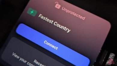 8 options our expes recommend