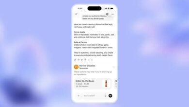 تطلق OpenAI اشتراكًا أرخص في ChatGPT وتقول إن الإعلانات ستأتي بعد ذلك