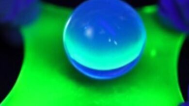 تظل شاشة OLED المرنة هذه ساطعة حتى عند تمديدها