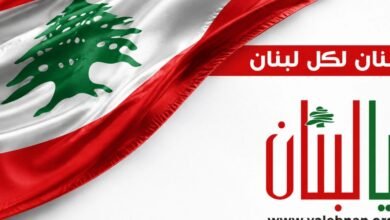 هيرلي الإدارة الاميركية جادة للغاية في قطع مصادر تمويل حزب الله
